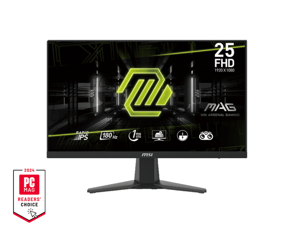 MSI 25 Inch MAG 256F